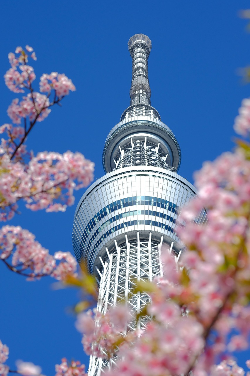 東京で新たなキャリアを築こう！経験者優遇の正社員募集